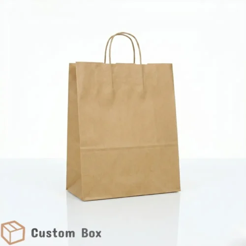 Eco Kraft Paper Bag with Twisted Rope Handle Large Size