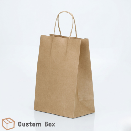 Medium Kraft Paper Bag with Twisted Rope Handle Eco Packaging