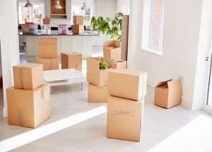 Top Eco-Friendly Packaging Trends for 2022