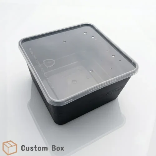 Disposable Black Plastic Food Packaging Container